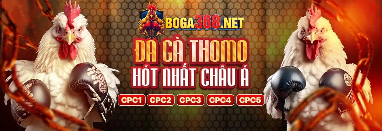 Sòng bạc Suncity888 Trực tuyến với Link Mới 2026