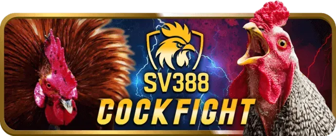 Công nghệ cookie và theo dõi trên suncity888 link mới